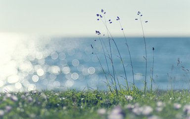 深圳萬志宇